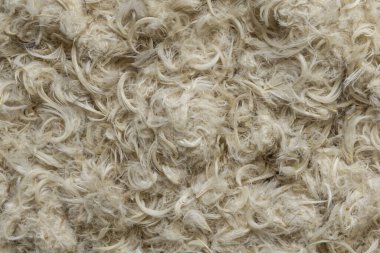 Beyaz kaz tüyleri ve yastık dokusundan tüyler.