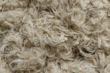 Beyaz kaz tüyleri ve yastık dokusundan tüyler.