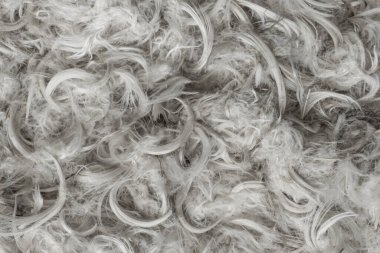 Beyaz kaz tüyleri ve yastık dokusundan tüyler.