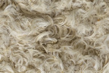 Beyaz kaz tüyleri ve yastık dokusundan tüyler.