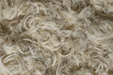 Beyaz kaz tüyleri ve yastık dokusundan tüyler.