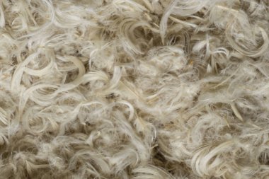 Beyaz kaz tüyleri ve yastık dokusundan tüyler.