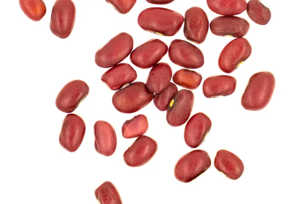 Rote Bohnen Isoliert Auf Weißem Hintergrund — Stockfoto