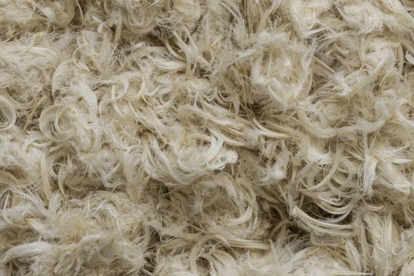 Beyaz kaz tüyleri ve yastık dokusundan tüyler.