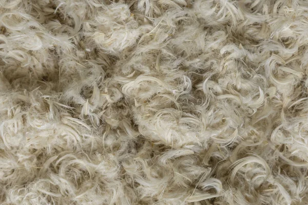 Beyaz kaz tüyleri ve yastık dokusundan tüyler.