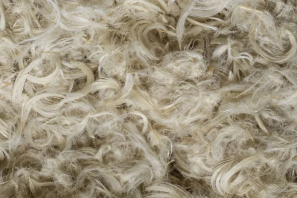 Penas Ganso Branco Fluff Travesseiros Fundo Textura — Fotografia de Stock