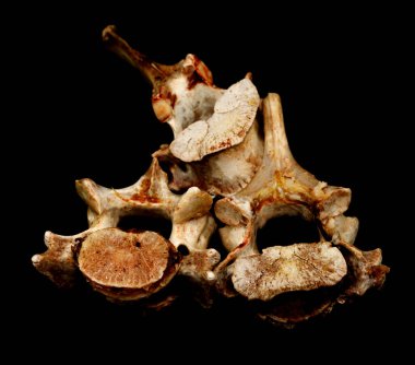 Siyah arka planda izole edilmiş hayvan kemikleri. Arta kalan yemekleri yakın plan yapın.