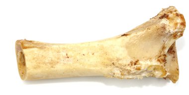 Beyaz arka planda izole edilmiş hayvan kemikleri. Arta kalan yemekleri yakın plan yapın.