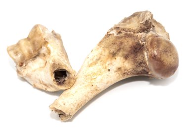 Beyaz arka planda izole edilmiş hayvan kemikleri. Arta kalan yemekleri yakın plan yapın.