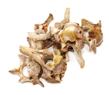 Beyaz arka planda izole edilmiş hayvan omurları. Arta kalan yemekleri yakın plan yapın.