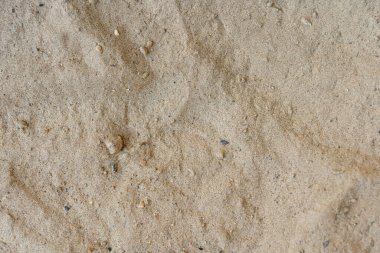 Plaj kum dokusu yakın plan