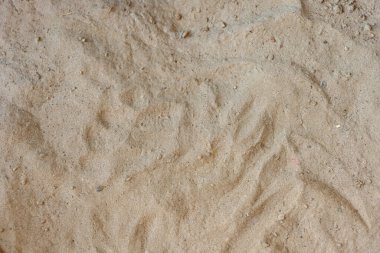 Plaj kum dokusu yakın plan