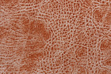 Kahverengi doğal deri desenli. Gerçek hayvan derisi arkaplan dokusu.