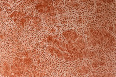 Kahverengi doğal deri desenli. Gerçek hayvan derisi arkaplan dokusu.