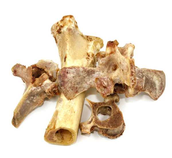 Beyaz arka planda izole edilmiş hayvan omurları. Arta kalan yemekleri yakın plan yapın.