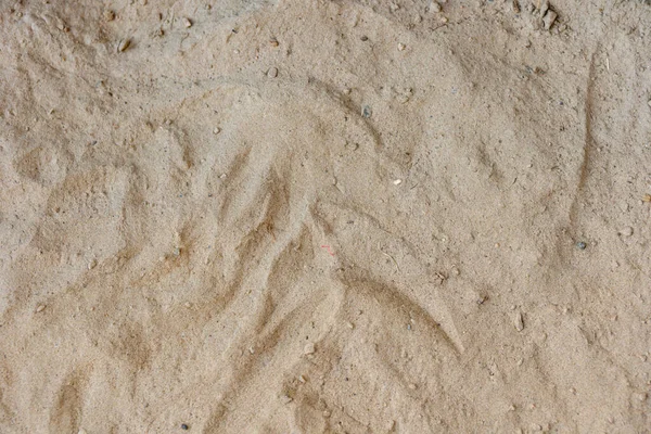 Крупный План Текстурой Пляжного Песка — стоковое фото