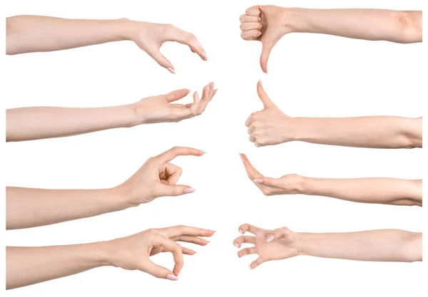 Várias Imagens Definem Mãos Femininas Caucasianas Isoladas Fundo Branco Mostrando — Fotografia de Stock