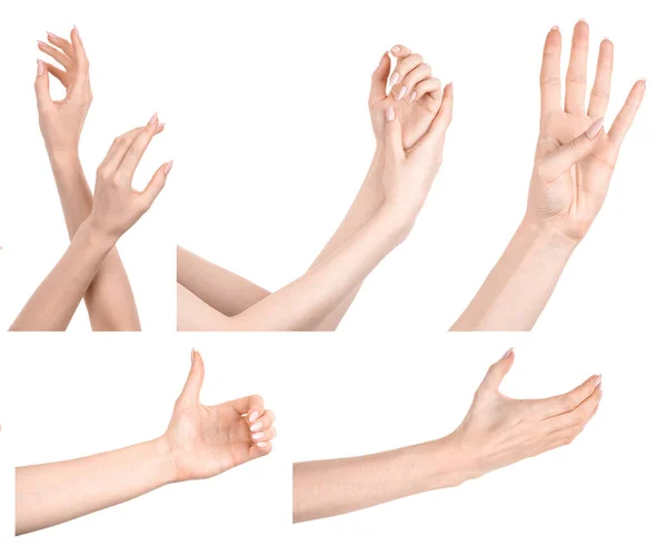 Várias Imagens Definem Mãos Femininas Caucasianas Isoladas Fundo Branco Mostrando — Fotografia de Stock