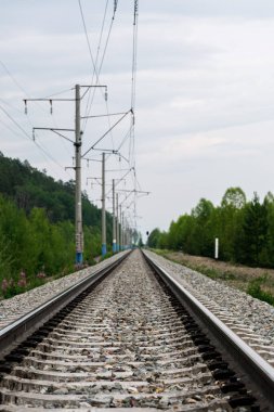 Yaz ormanlarında demiryolu rayları