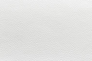 Gerçek hayvan derisi dokusu. Doğal deri.