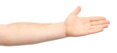 Erkek el, beyaz arka planda bir şeyi ya da birini tuttuğunu gösteriyor. Selamlar, el ele tutuşmalar