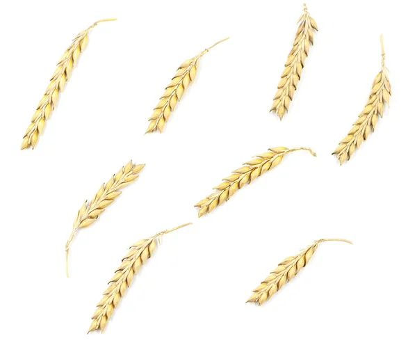 Reife Weizenähren Isoliert Auf Weißem Hintergrund — Stockfoto