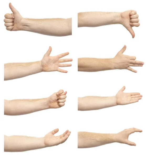 雌雄同体的雄手在白色背景下表现出各种孤立的姿势 一组不同的手势 — 图库照片