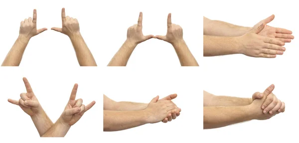 Collage Male Hands Showing Various Gestures Isolated White Background Set — Stock Photo, Image