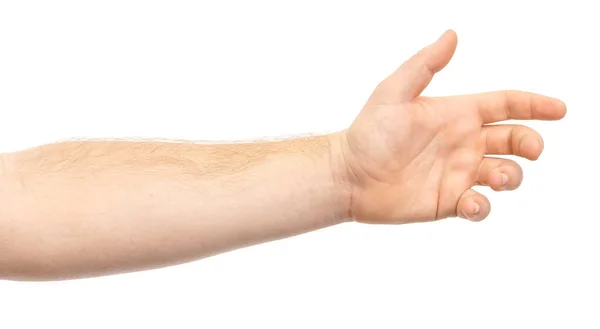 Αρσενικό Χέρι Δείχνει Χειρονομία Κρατώντας Κάτι Κάποιος Απομονώνονται Λευκό Φόντο — Φωτογραφία Αρχείου