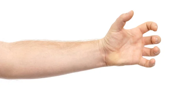 Mão Masculina Mostrando Gesto Segurando Algo Alguém Isolado Fundo Branco — Fotografia de Stock