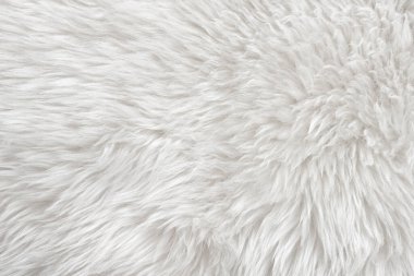 Üst bej desenli beyaz gerçek yün. Açık krem doğal koyun yünü. Pürüzsüz pamuk, tasarımcılar için tüylü kürk dokusu