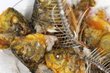 Kemikler ve balık kafası dokusu. Kızarmış balık kalıntıları. yiyecek artıkları