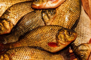 Yakından yeni yakalanmış balıklar. Kesme tahtasındaki sarı sazan balığı. Tünek, çipura, haç