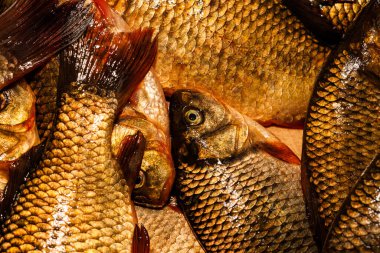 Yakından yeni yakalanmış balıklar. Kesme tahtasındaki sarı sazan balığı. Tünek, çipura, haç