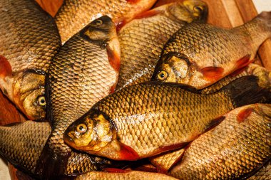 Yakından yeni yakalanmış balıklar. Kesme tahtasındaki sarı sazan balığı. Tünek, çipura, haç