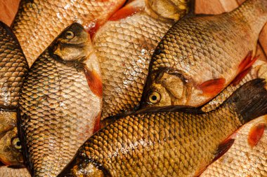 Yakından yeni yakalanmış balıklar. Kesme tahtasındaki sarı sazan balığı. Tünek, çipura, haç