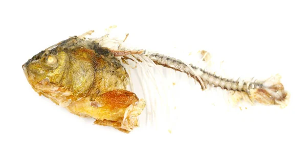 Ossos Cabeça Peixe Isolados Sobre Fundo Branco Restos Peixe Frito — Fotografia de Stock