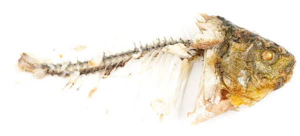 骨头和鱼的头部被白色背景隔离 剩下的炸鱼食物废料 — 图库照片