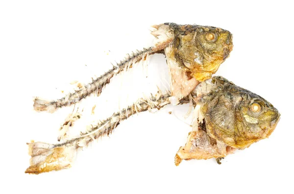 Kości Głowa Ryby Izolowane Białym Tle Pozostałości Smażonych Ryb Resztki — Zdjęcie stockowe
