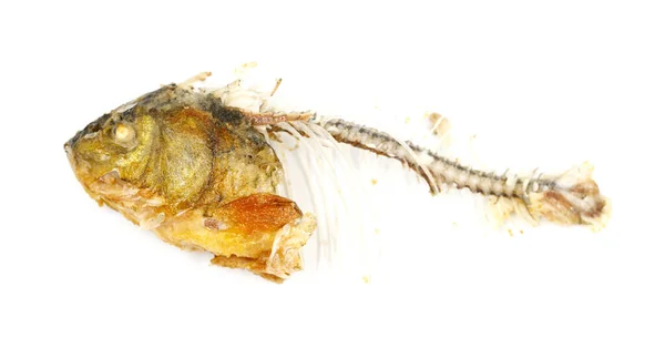 骨と魚の頭は白い背景に隔離されています 焼き魚の遺跡 食品廃棄物 — ストック写真