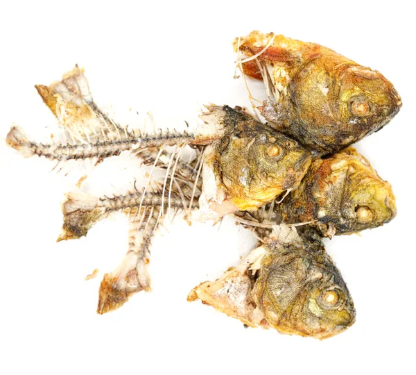 Bones Fish Head Isolated White Background Remains Fried Fish Food — Stock Photo, Image