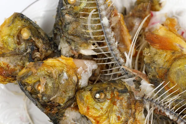 Kemikler ve balık kafası dokusu. Kızarmış balık kalıntıları. yiyecek artıkları