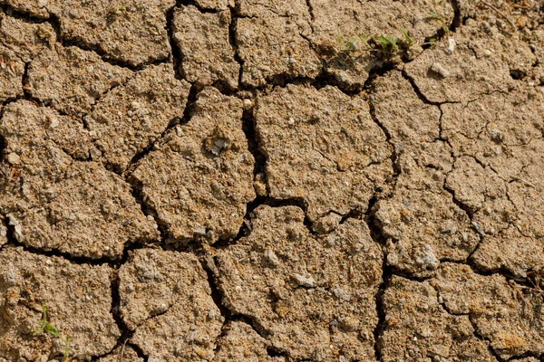Wüste Getrocknet Und Rissiger Boden Erosion Erde Hintergrund Rissige Trockene — Stockfoto