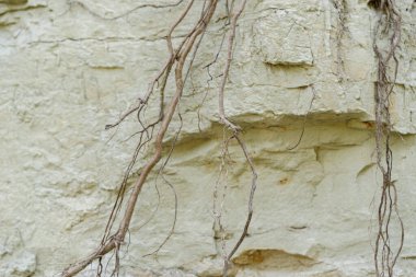 Kilden bir taş ocağında yer altındaki farklı katmanların dokusu. kil duvar arkaplanı kapat 