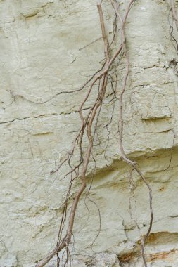 Kilden bir taş ocağında yer altındaki farklı katmanların dokusu. kil duvar arkaplanı kapat 