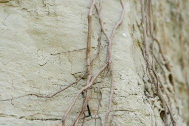 Kilden bir taş ocağında yer altındaki farklı katmanların dokusu. kil duvar arkaplanı kapat 