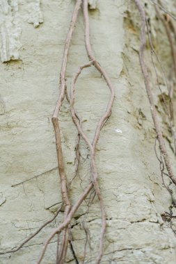 Kilden bir taş ocağında yer altındaki farklı katmanların dokusu. kil duvar arkaplanı kapat 