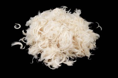 Beyaz kaz tüyleri siyah arka planı izole etti. Kaz tüyü ve yastık dokusundan tüy.