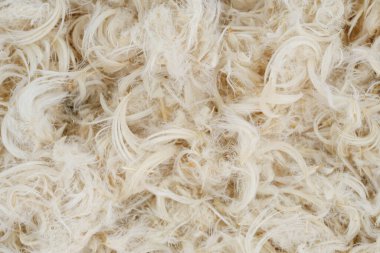 Beyaz kaz tüyü ve yastık dokusundan tüy.