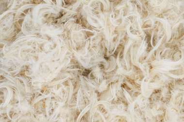 Beyaz kaz tüyü ve yastık dokusundan tüy.